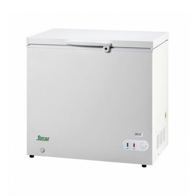 Congelatore a pozzetto Forcar G-BD205S